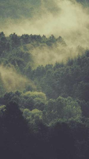 天道蜘蛛池程序截图2