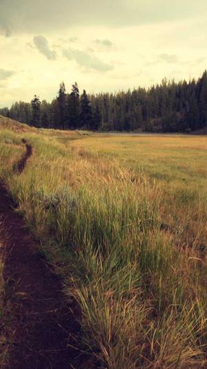 旺道seo优化工具截图3