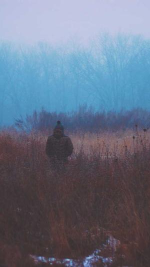 seo排名发包工具截图3