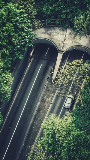 云南蜘蛛池租用包月截图2