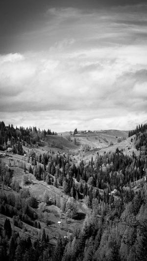 seo培训教程泛目录推广截图3