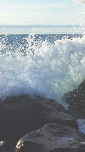 野外建造蜘蛛池截图1