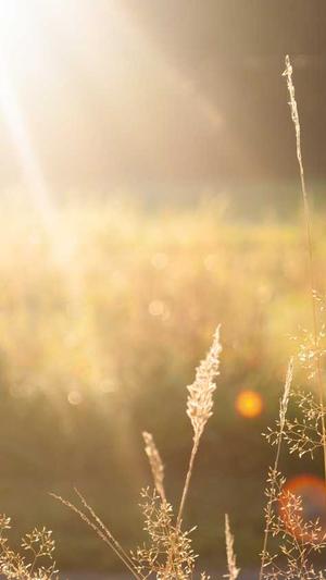 网站建设空间截图1
