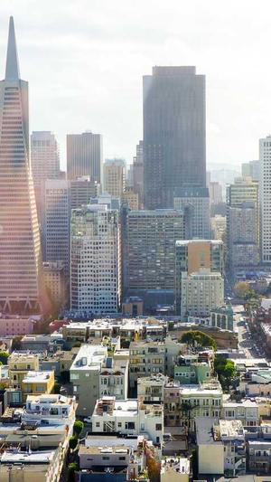 蜘蛛池优化seo博客截图2