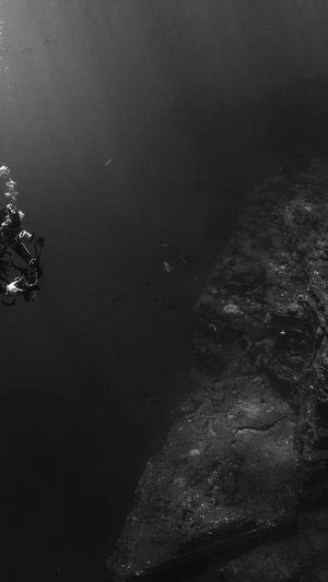 网站如何改蜘蛛池截图3