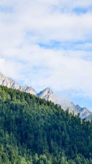 泛目录需不需要好站截图1