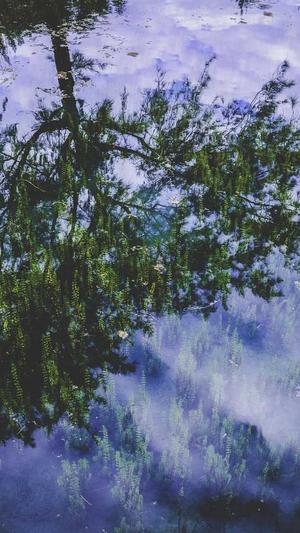 seo黑帽工具截图5