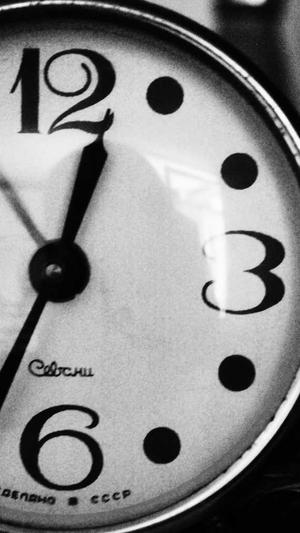 黑侠蜘蛛池2.0破解版截图1