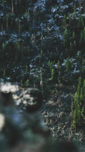 如何利用蜘蛛池截图2