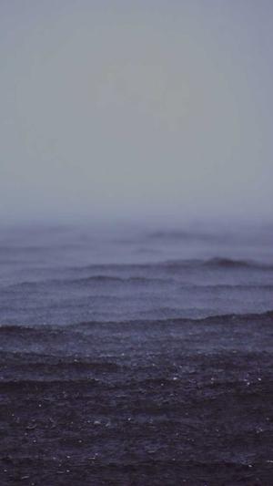 泛目录繁殖系统截图2