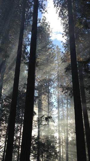 南京seo优化截图4