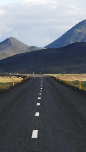 阿里蜘蛛池截图3