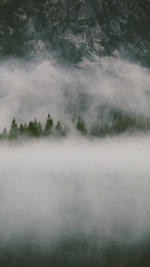 泛目录哪个平台好用截图2