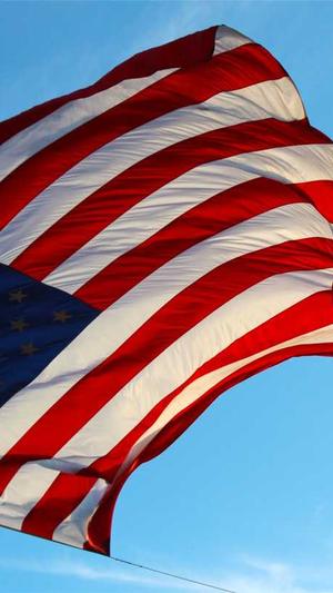 无名外推蜘蛛池怎么用截图2