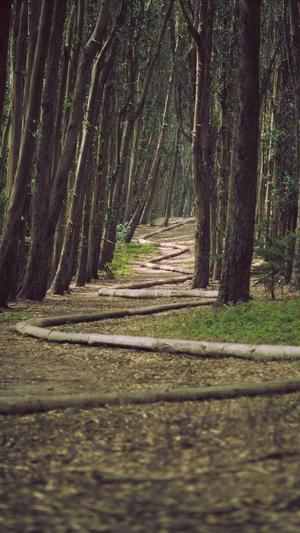 泸州网站建设截图1