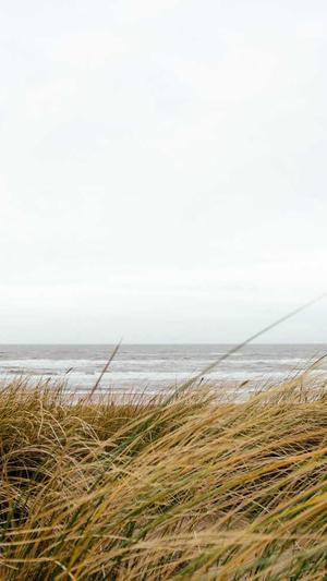 东莞网站建设截图2