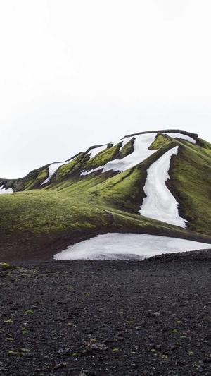 蜘蛛池引蜘蛛视频教程截图4