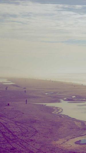 seo智能优化工具截图3