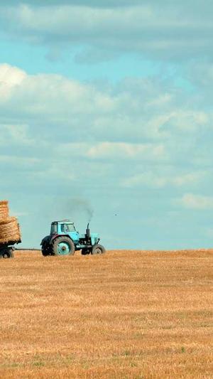 徐汇网站建设截图1