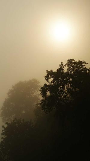 阿里蜘蛛池官网截图3