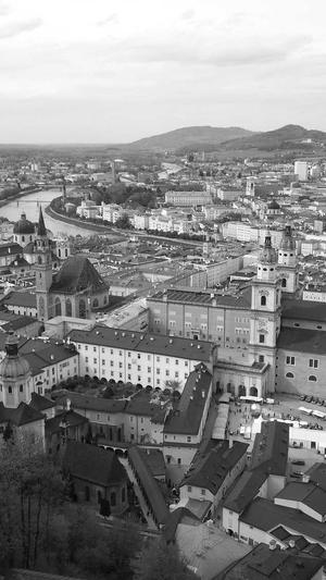 蜘蛛池正确养方法截图4