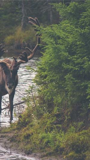 株洲seo优化截图2