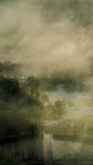 蜘蛛池app运营截图4