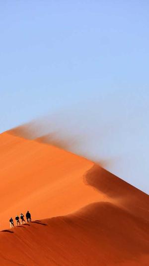 常用seo站长工具截图2