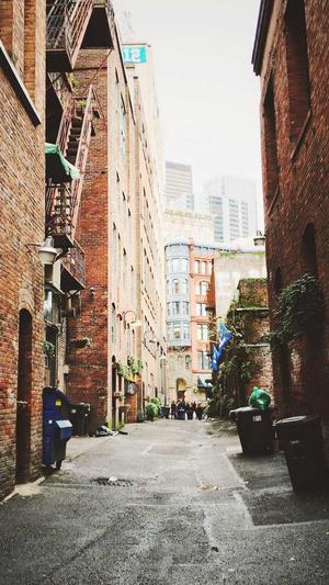 网站建设公司建设网站的三个步骤截图1