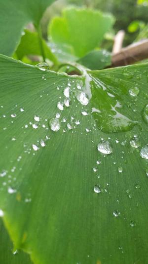 中小企业网站建设截图5