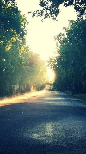 爱站网seo工具截图3