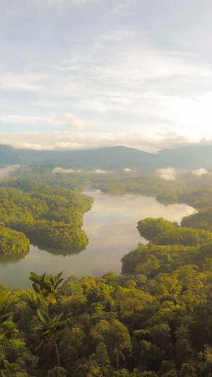 seo收录查询工具截图3