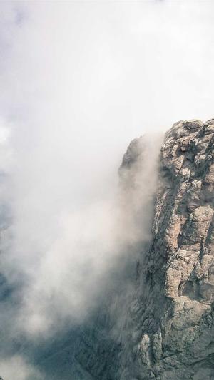 百度seo排名工具截图1