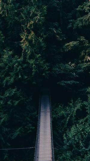 渝北seo截图2