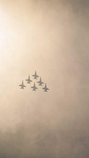 seo常用的工具包截图2