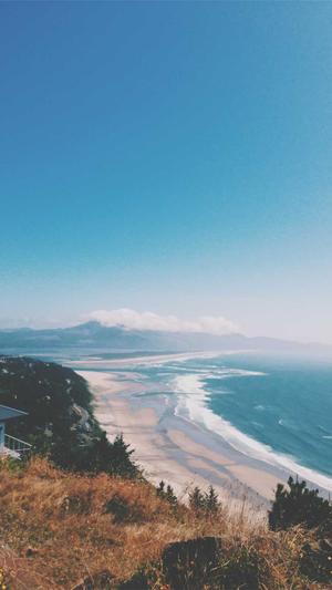 SEO优化外包截图4