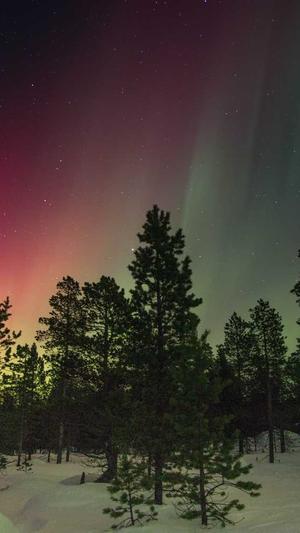 seo优化工具是什么截图5