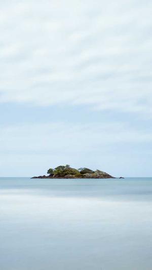 网站优化seo小工具截图4