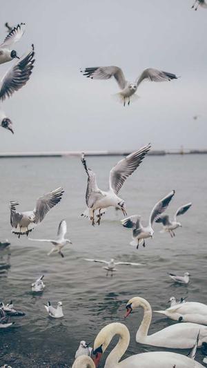 网站建设和网络建设是一个意思吗截图5