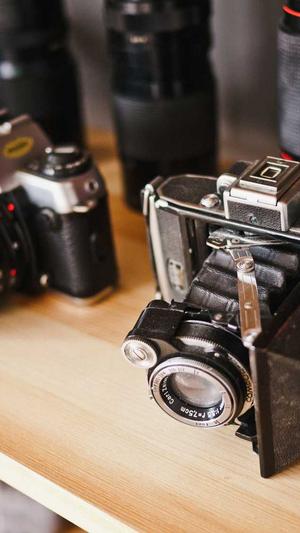 seo采集工具绿色完整版截图3