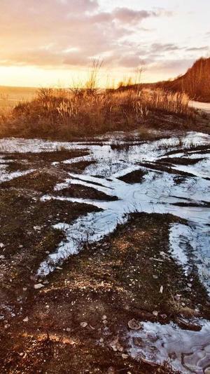 seo与网站建设截图2