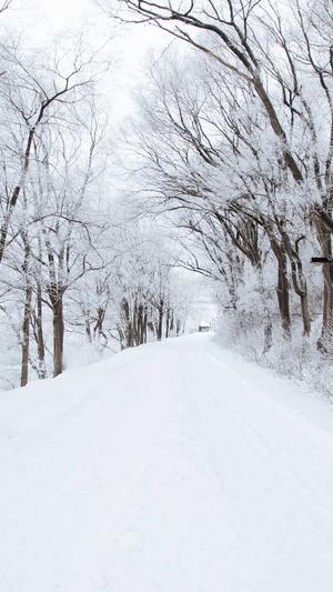 seo网站诊断截图1