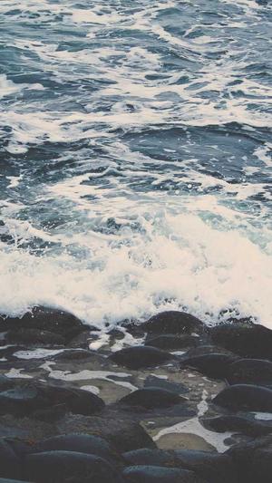 网站seo优化排名工具截图3