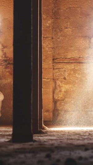 seo系统优化工具截图4