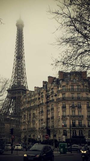 西安seo优化软件工具截图4