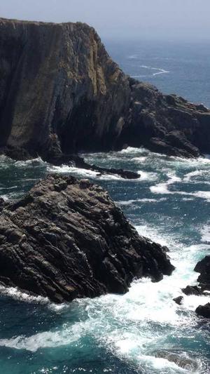 seo的工具有哪些截图1