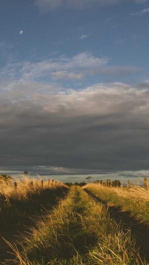 seo公司推荐蜘蛛池截图2