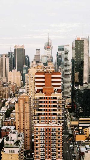 蜘蛛池购买网站是什么截图2