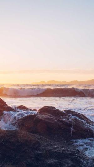 怎么举报泛目录网站截图4