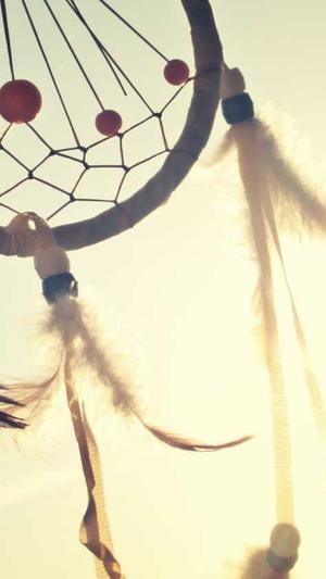 哪个网站建设截图3